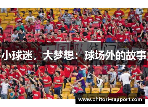 小球迷，大梦想：球场外的故事